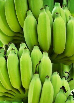 Banane
