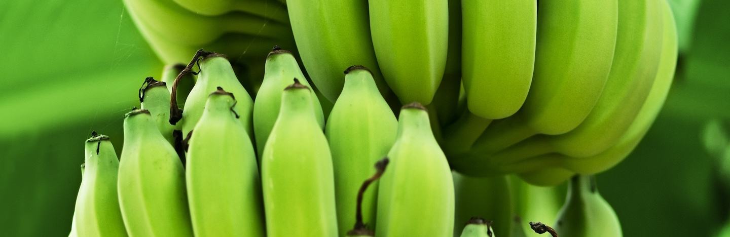 Banane